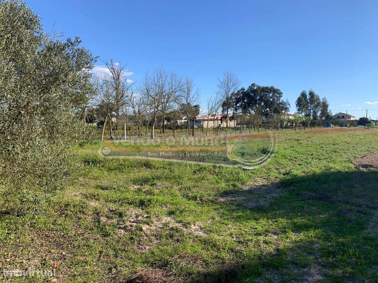 Terreno em Marinhais (M759) - Grande imagem: 4/24