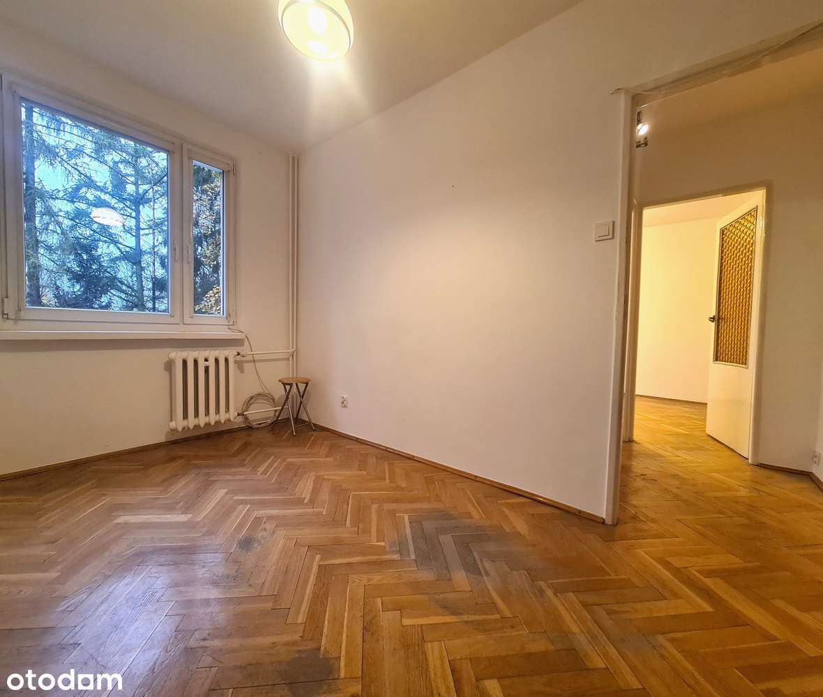 2 osobne pokoje przy parku/ jasna kuchnia/ loggia/ 1 piętro/c.w.u MPEC - Pełny obrazek: 5/17