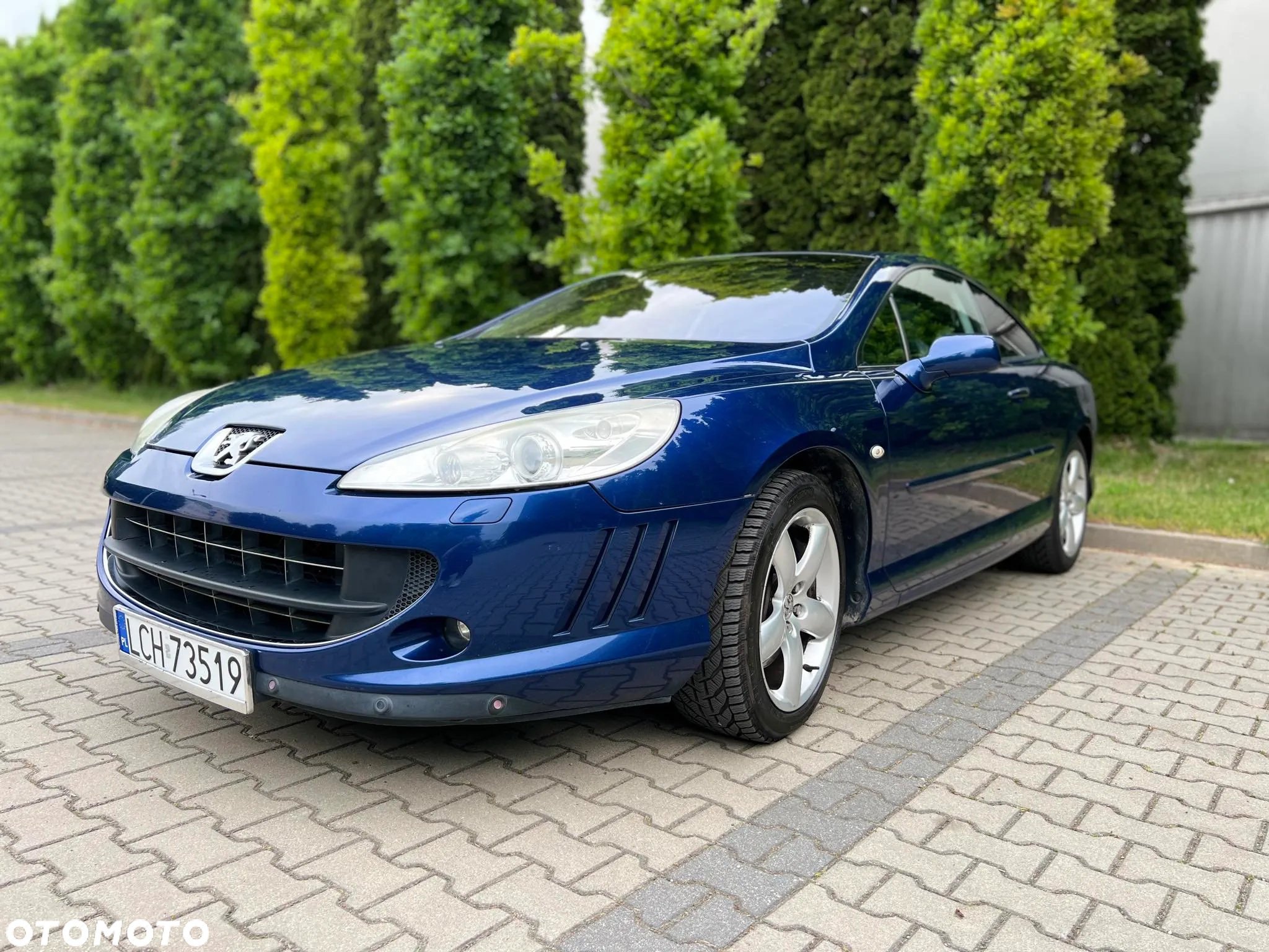 Peugeot 407 2.0 HDi Premium - 6