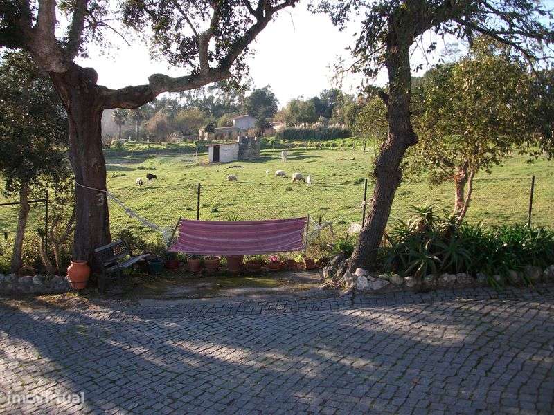 Quinta p/ AL / Hostel /Habitação c/ 900m2 úteis c/ 13 wc p/ 30 pessoas - Grande imagem: 4/12