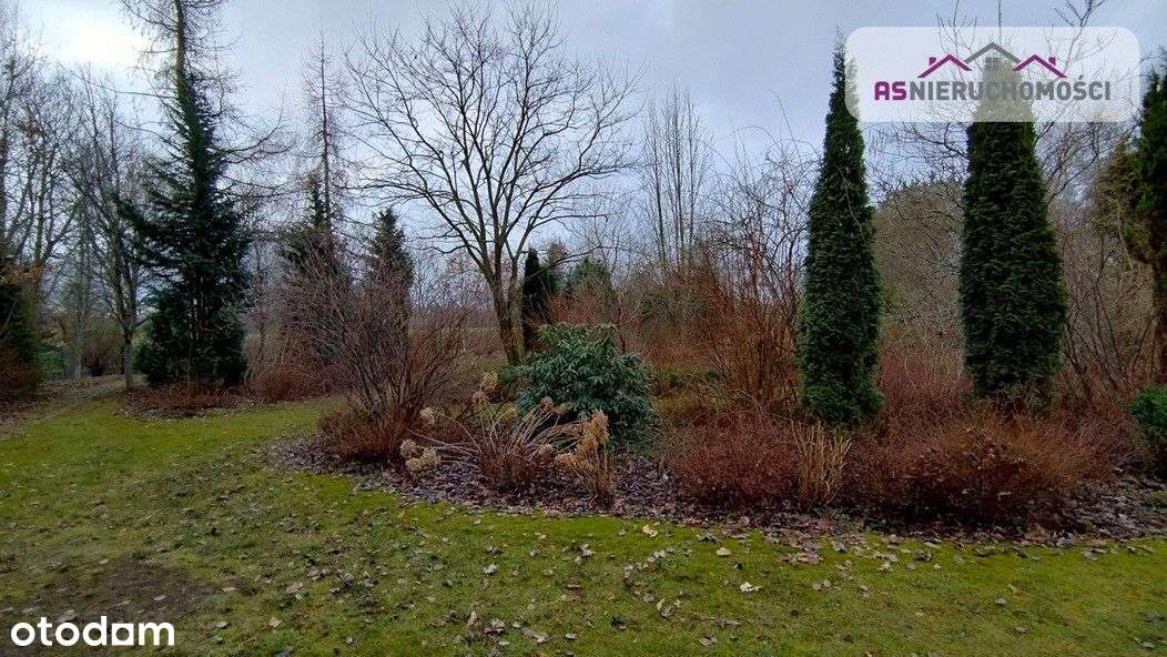 Piękna działka pod Koszalinem - Pełny obrazek: 5/20