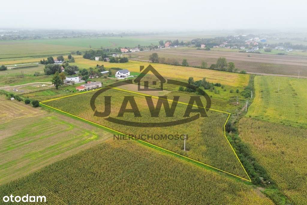 Czarnowo/ 3 działki inwestycyjne/ war. na 11 domów - Pełny obrazek: 5/7