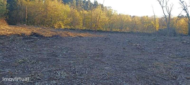 Terreno para construção - Grande imagem: 5/9