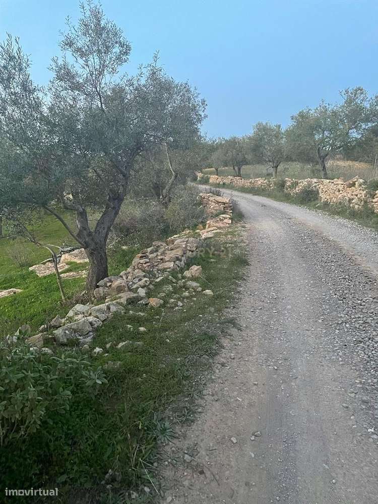 Terreno rústico de 6.120 m2 no Algarve - Grande imagem: 2/6