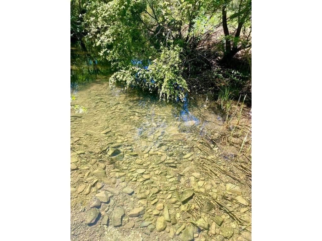 Propriedade Rústica de Montado com Ribeira | 22,6 Hectares | Serra ...-6