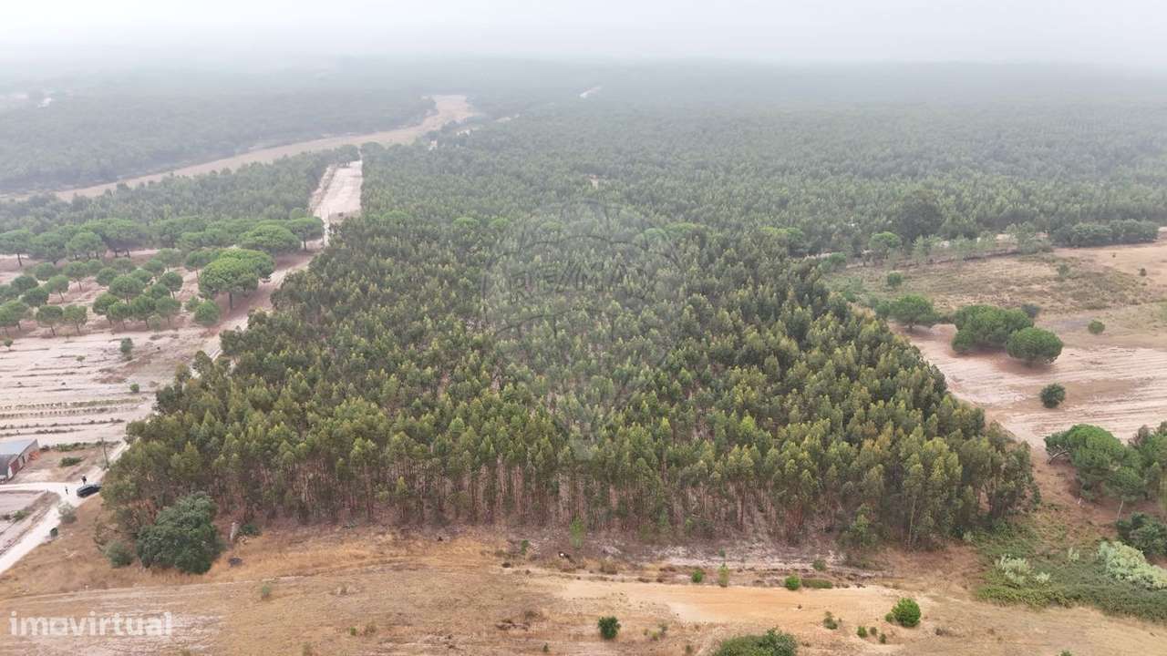 Terreno  para venda - Grande imagem: 4/13