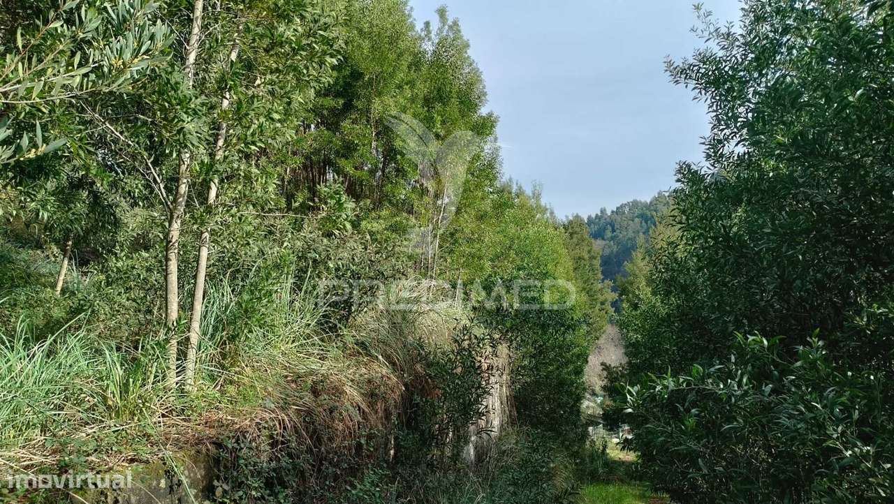 ? Terreno para o Seu Novo Lar, Junto ao Douro! ? - Grande imagem: 4/11