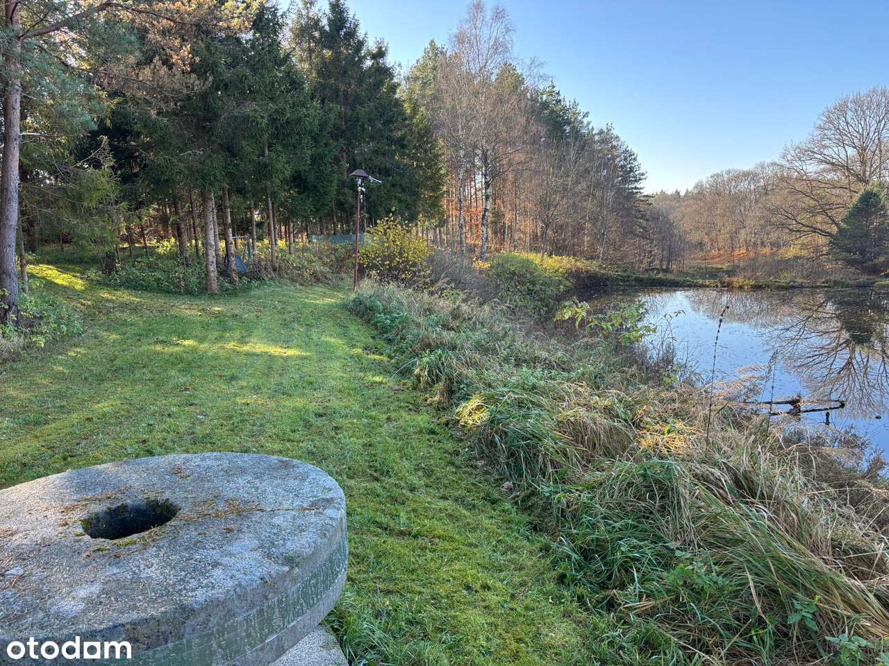 Działka siedliskowa z wydanymi warunkami zabudowy + stawy rybne-12