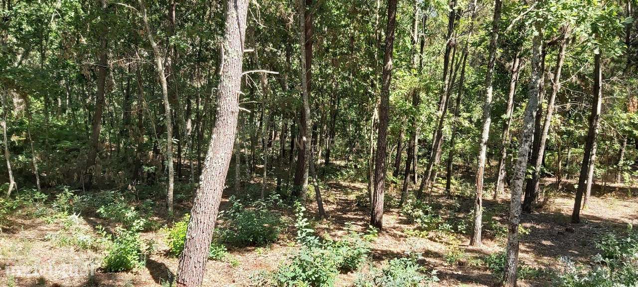 Quintinha próxima da Barragem de Fagilde, Rio Dão - Grande imagem: 5/17