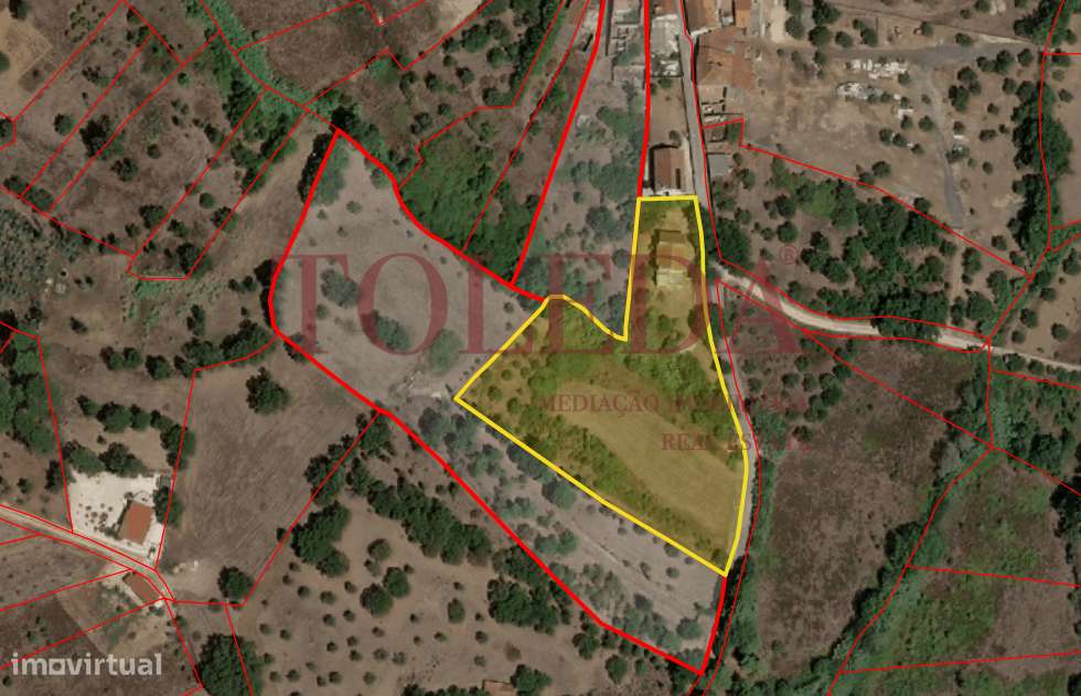 Quintinha em Tomar com 2 casas-57