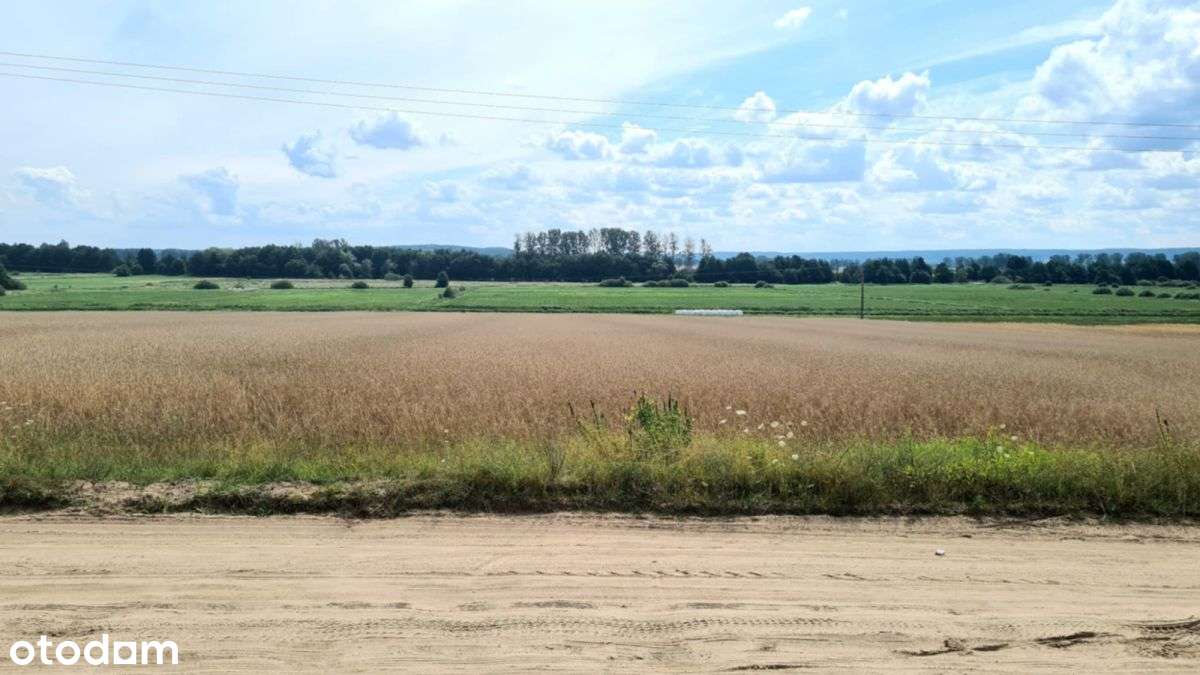 Działka Pod Lasem Z Pięknym Widokiem I Decyzją WZ-5