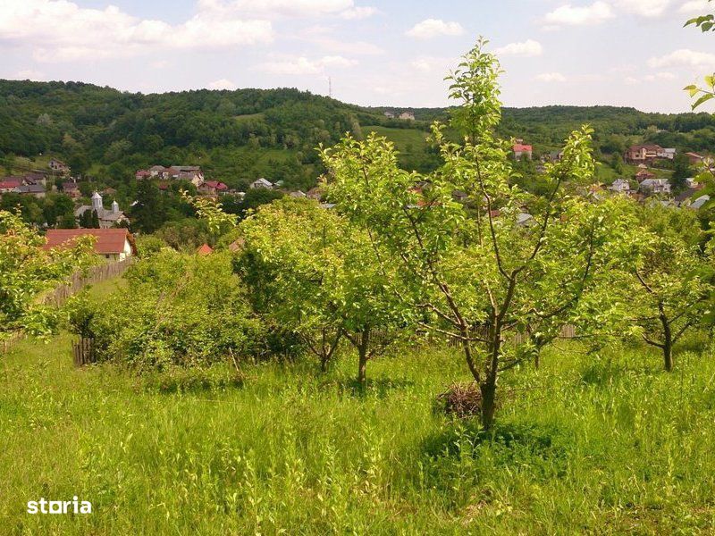 Teren extravilan 7500 mp Stefanesti,  Valea Mare, Arges