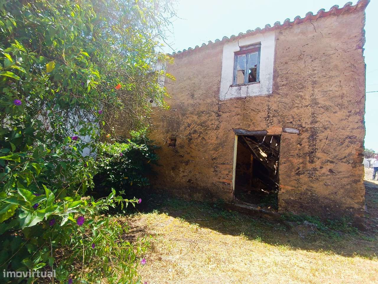 Abrantes,  Cabeça Gorda - Terrenos com Ruína – Moradia para Reconstrui-10