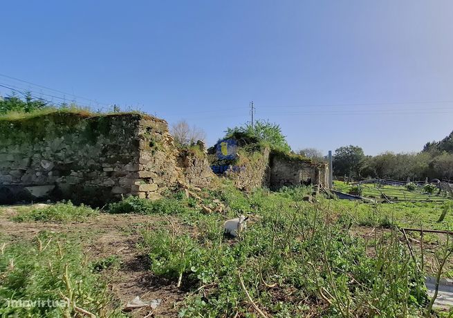 Terreno urbano com 15.867 m2 em Cela, Alcobaça,  e ruína de 336,30 m2-15