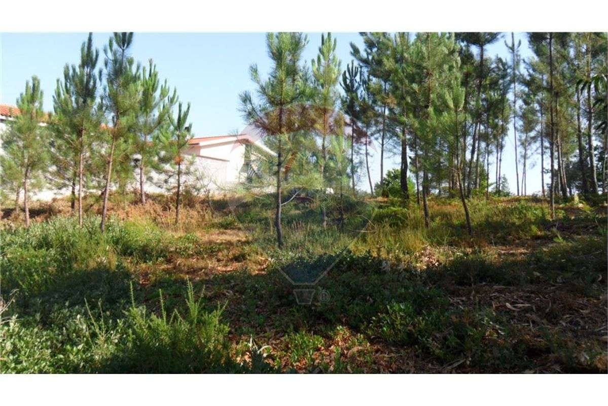 Terreno T0 para venda - Grande imagem: 3/7