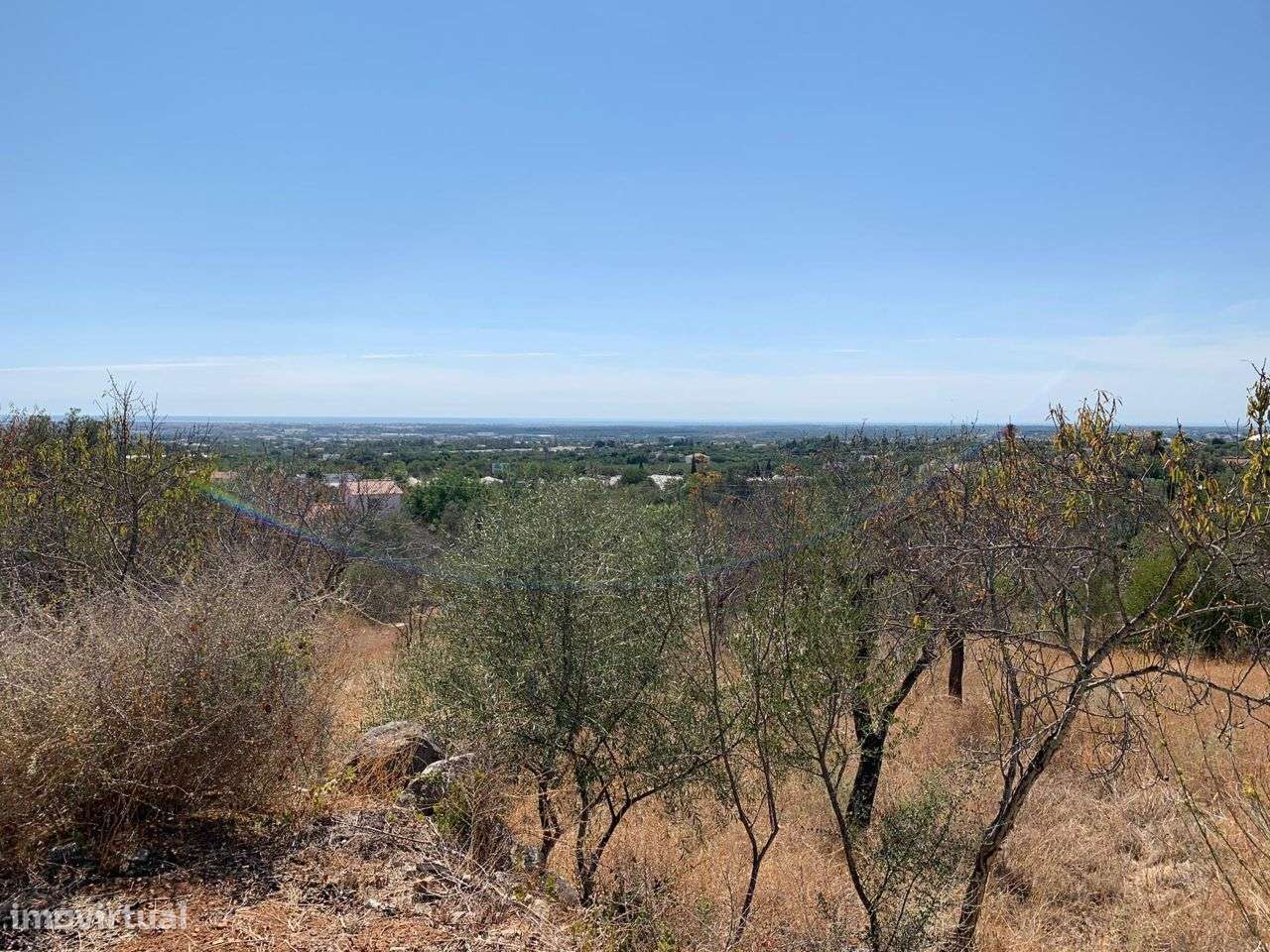 Terreno Urbano, com 3 artigos, Colmeal-6