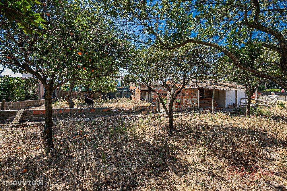 Terreno Urbano com 1017m2  - PROJETO APROVADO - Grande imagem: 4/15