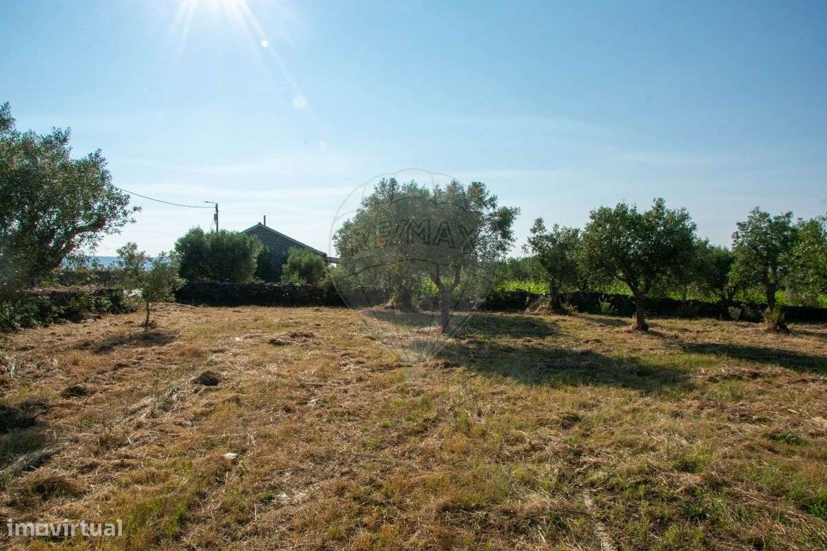 Terreno  para venda - Grande imagem: 4/12