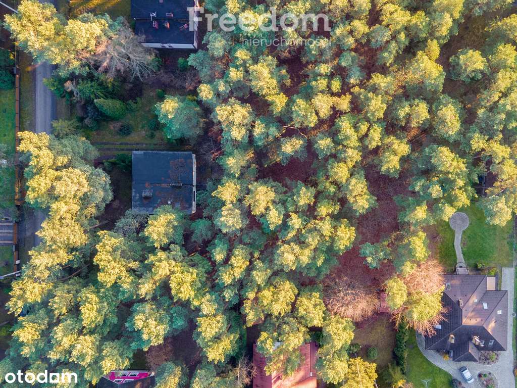 Miejsce na dom wśród zieleni - Pełny obrazek: 3/16