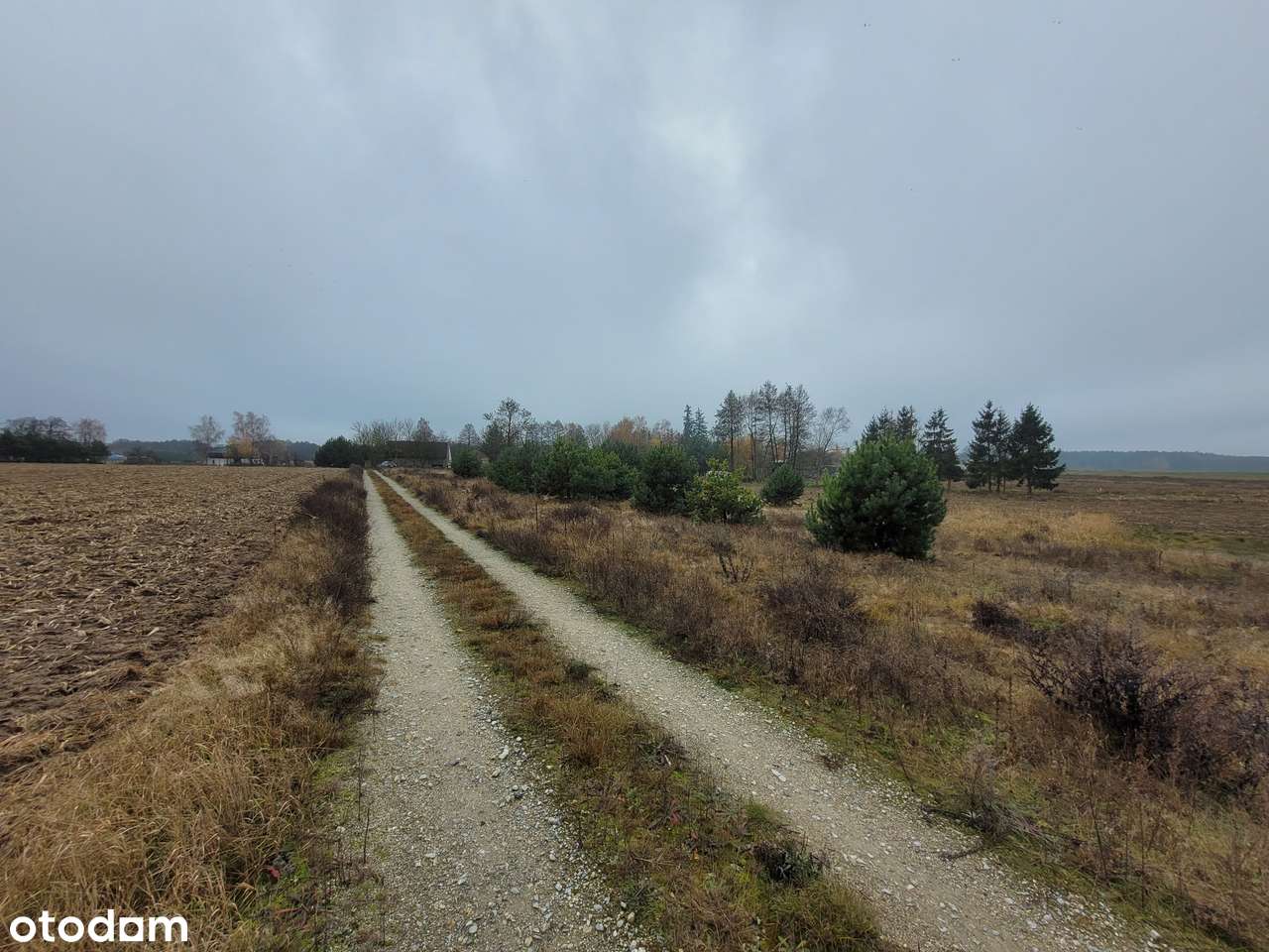 GOŁĄBKI na sprzeedaż działka budowlana 950m2-11