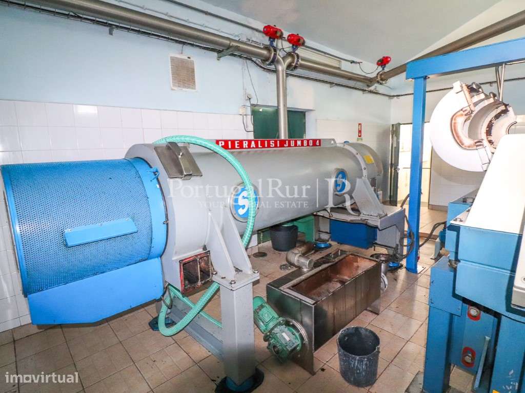Unidade Industrial de Produção de Azeite & Elevado Potencial Produtivo-32