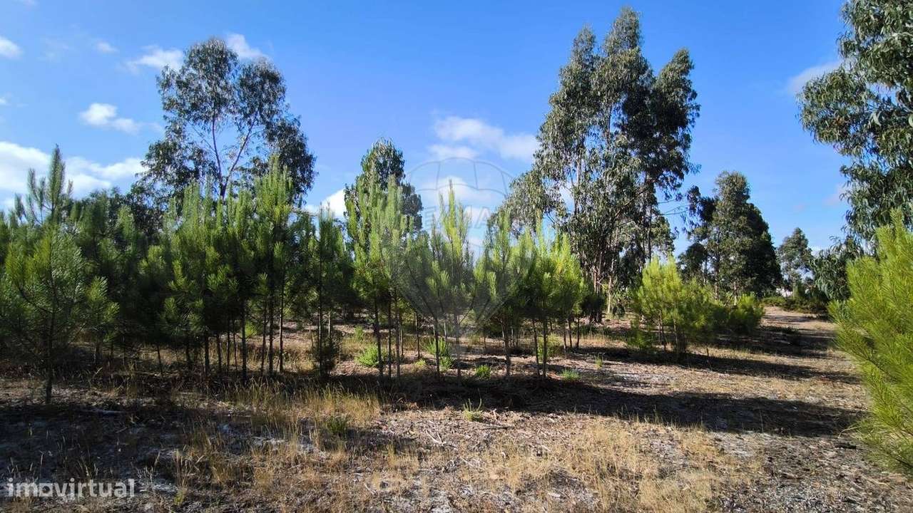 Terreno  para venda - Grande imagem: 3/14