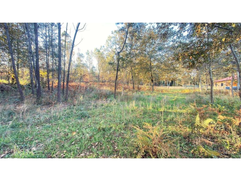 Terreno com PIP Aprovado - São Pedro de Arcos, Ponte de Lima - Grande imagem: 4/6