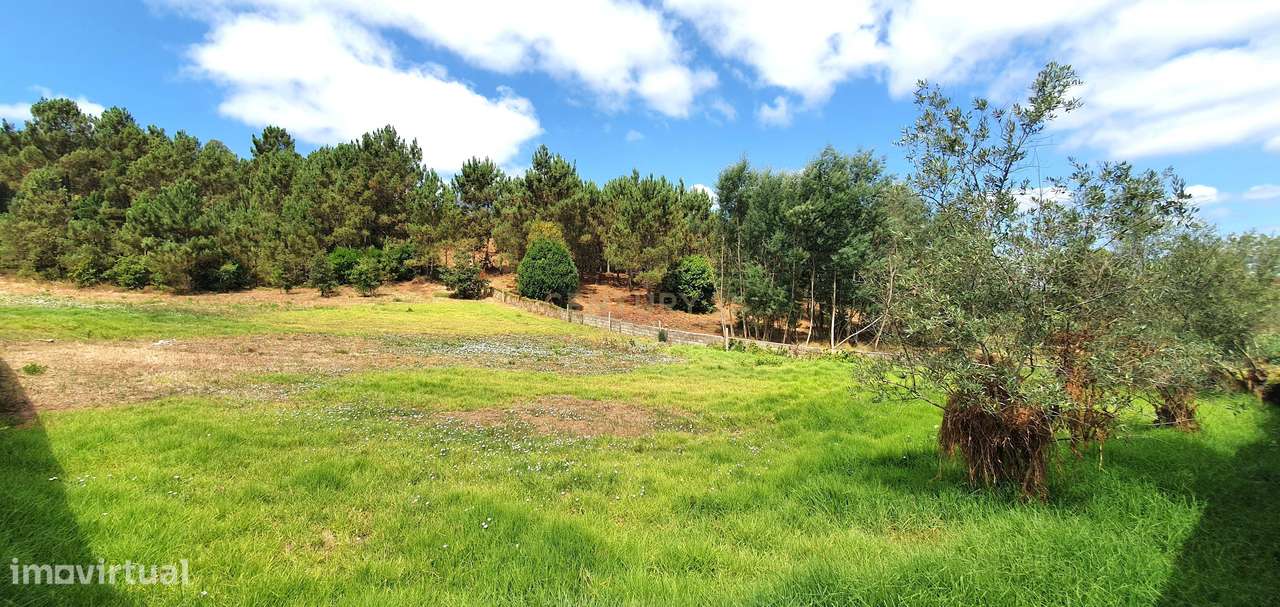 Terreno 5747 m2 I Fala - São Martinho do Bispo I Viabilidade Construçã-11