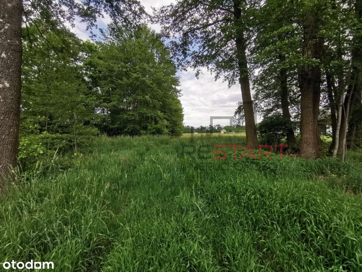 Blisko Grodziska, budowlana. - Pełny obrazek: 5/7