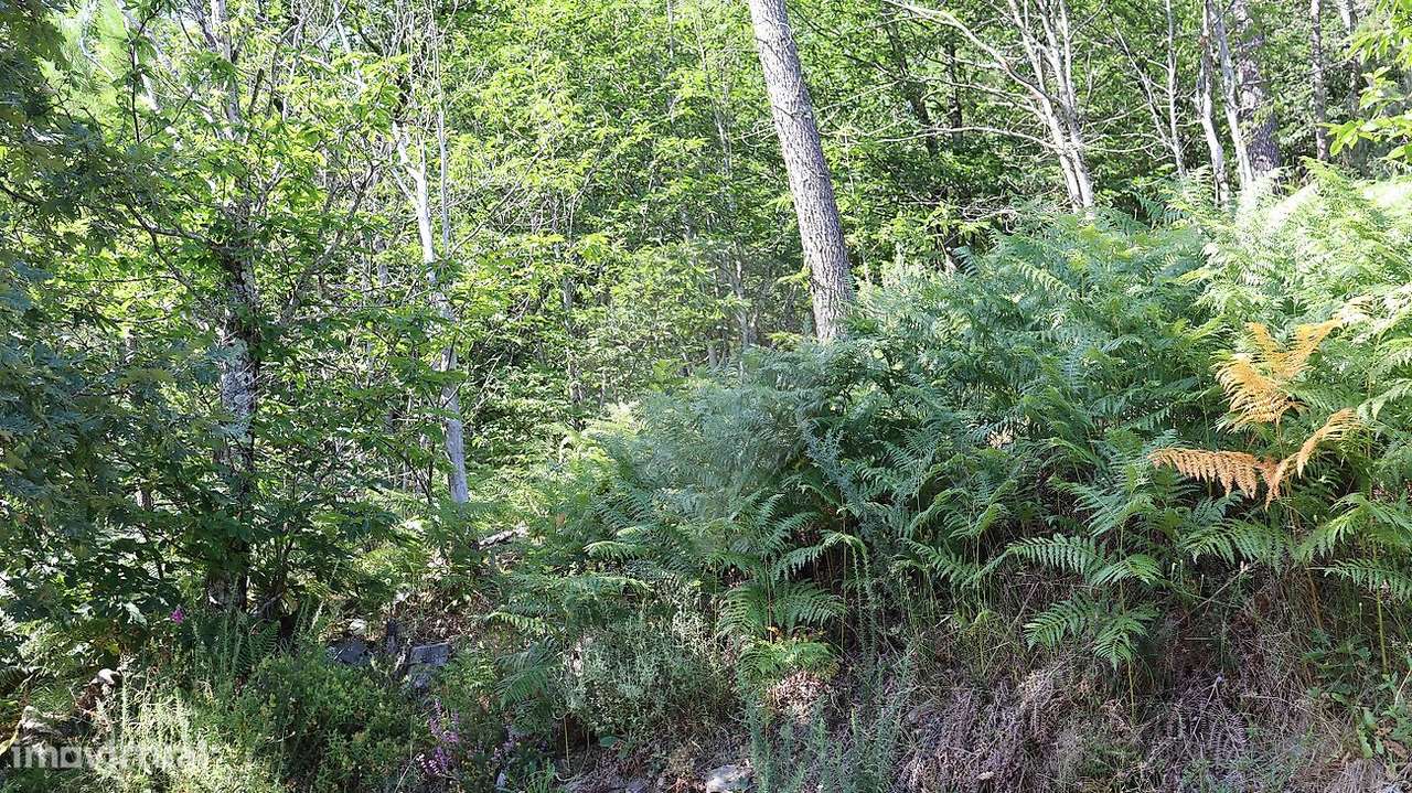 Terreno  para venda - Grande imagem: 2/9