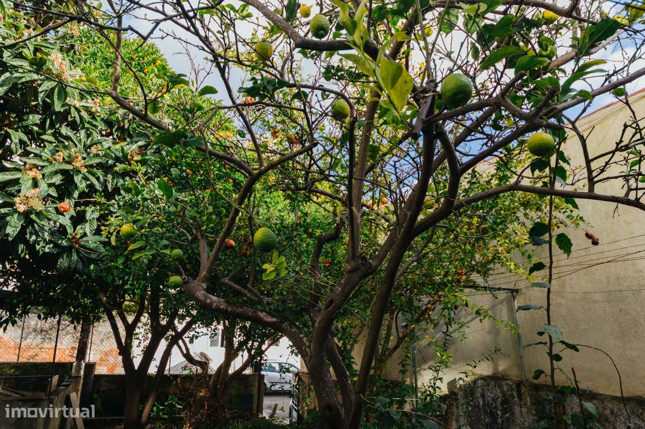 2 moradias para recuperar, com terreno, em Alverca. - Grande imagem: 5/30