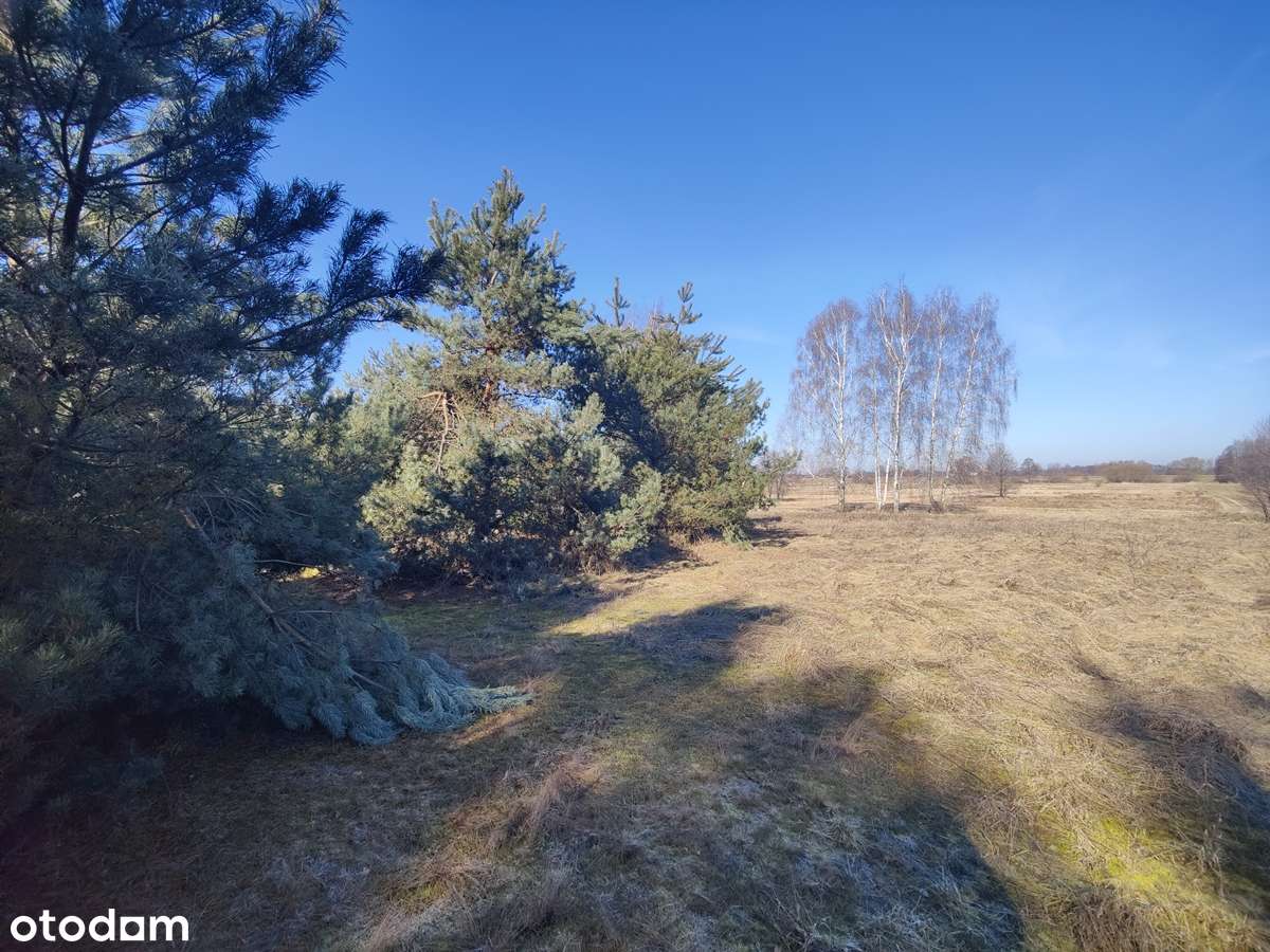 Na sprzedaż duża działka  w sąsiedztwie lasu i łąk-gm. Krzymów-6