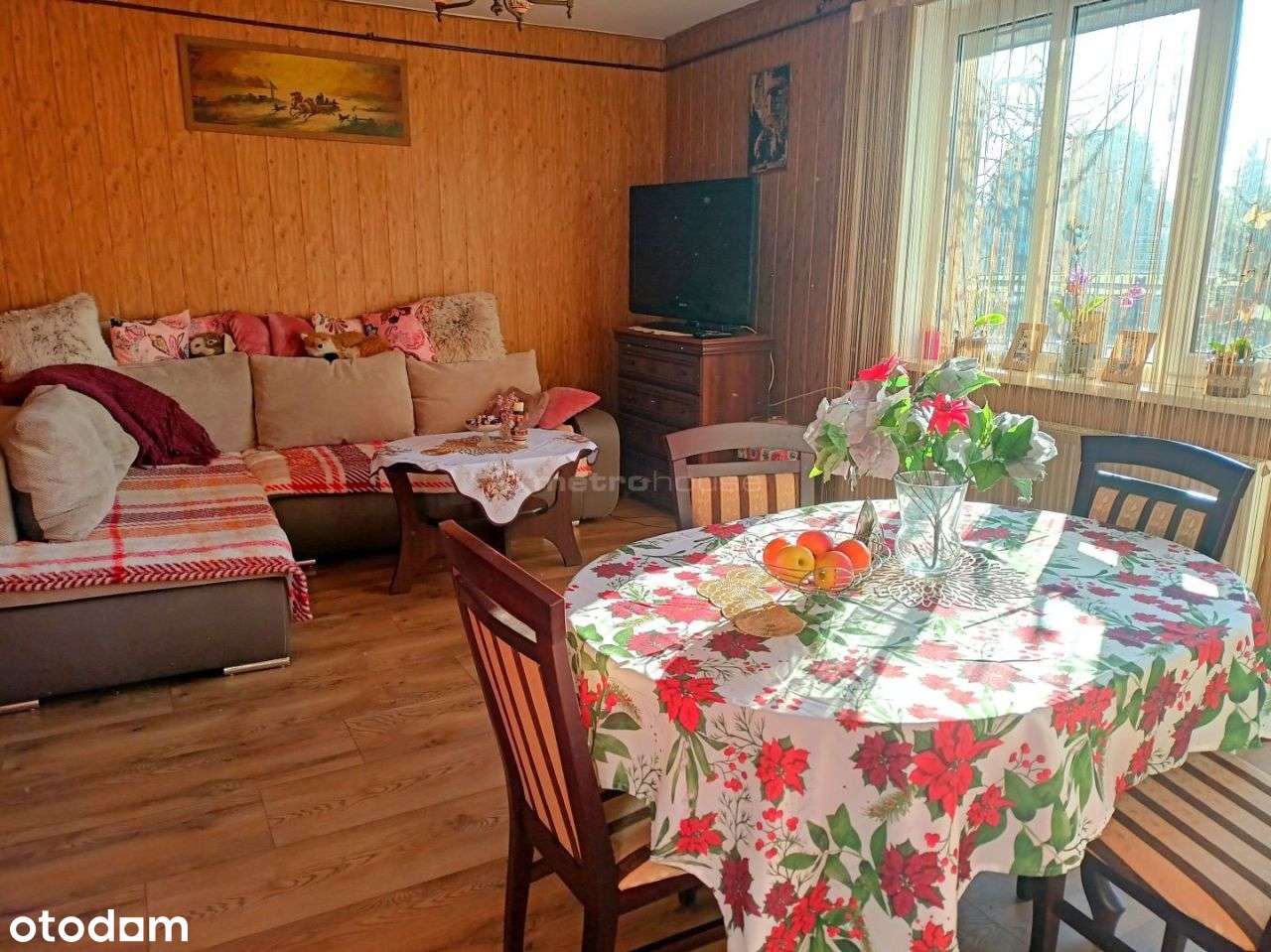 Dom w Rogowie! - 160m2 na działce 7500m2-4