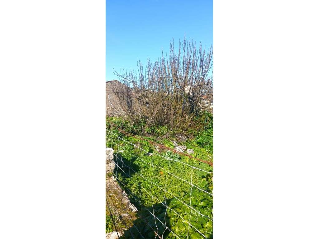 Moradia / Reconstrução / Venda / Fátima-12