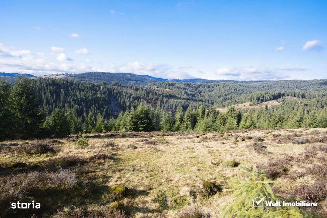 Se vinde teren cat un munte in Apuseni - Poiana Horea - Imagine principală: 4/19