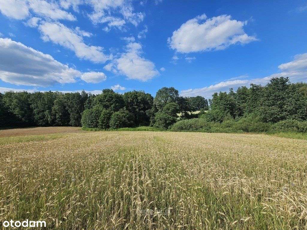 Niedaleko jeziora Polnego! Wz dla każdej działki-4