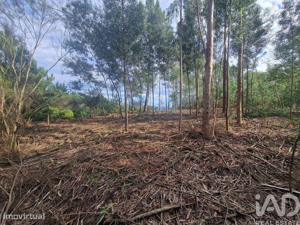 Terreno para construção em Nogueira, Meixedo e Vilar de Murteda de 321 - Grande imagem: 2/30