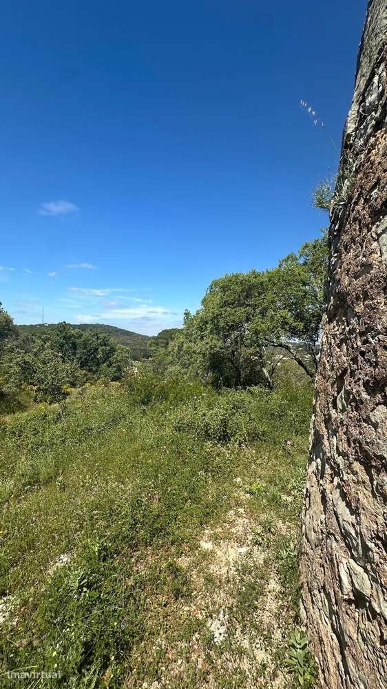 Ruina Moinho - Grande imagem: 5/20