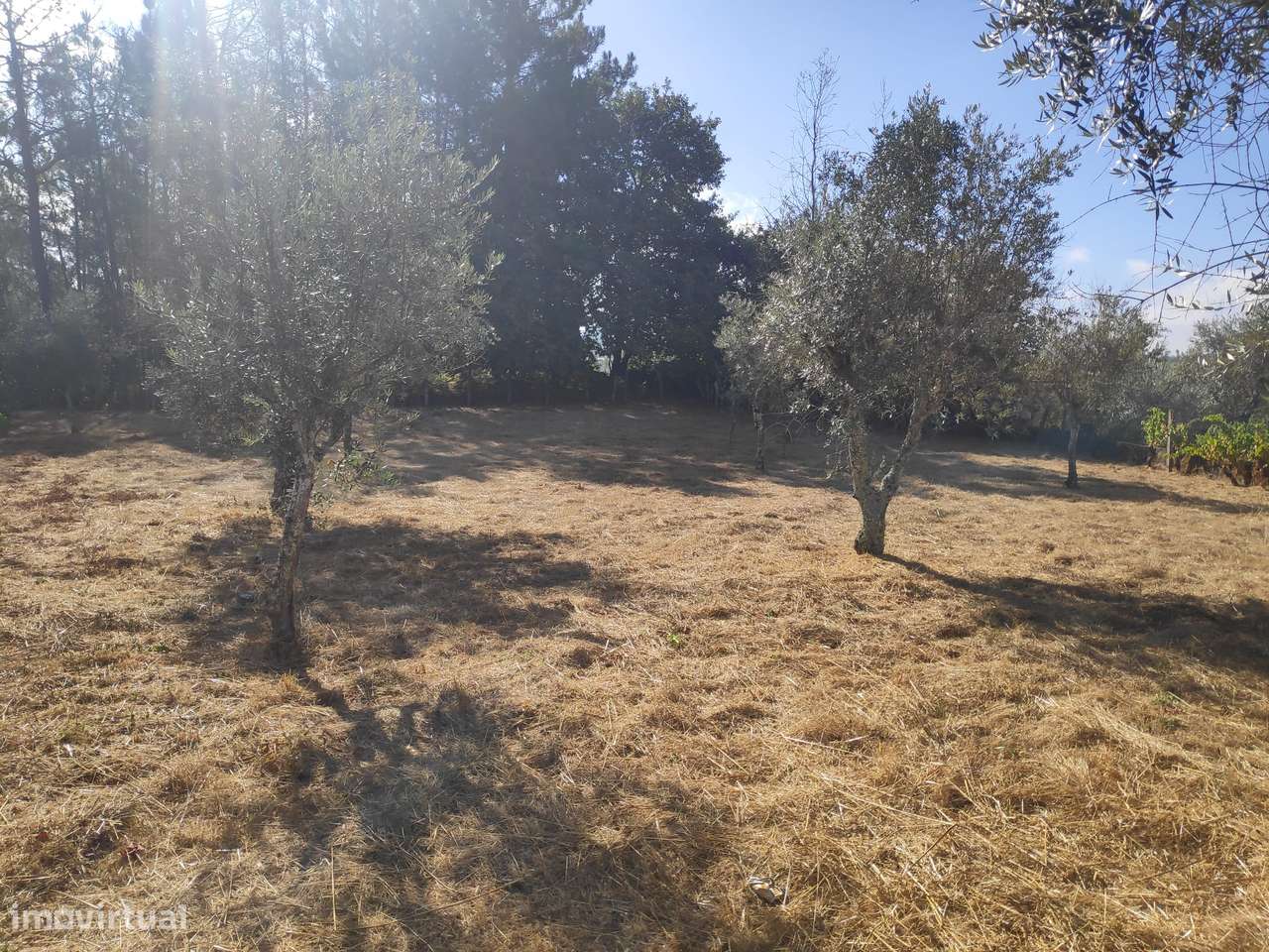 Excelente Terreno para Construção - Grande imagem: 2/8