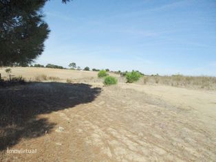 Terreno Rústico c/ 19.500 m² - Reserva Agrícola (Não pode construir) - Grande imagem: 3/7