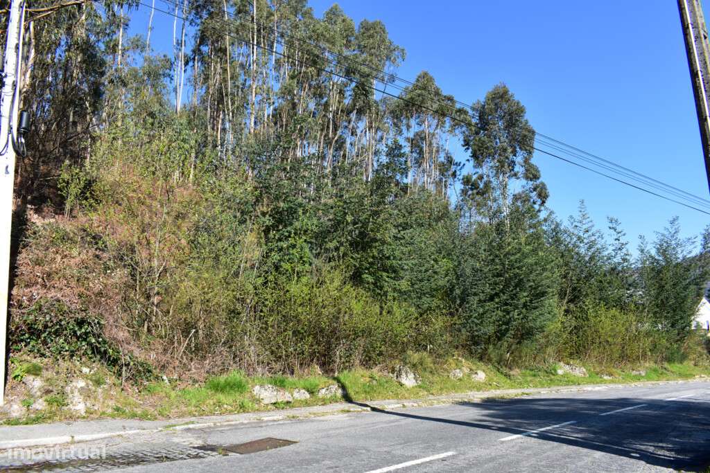 Lote Construção - Vieira do Minho - Grande imagem: 5/9