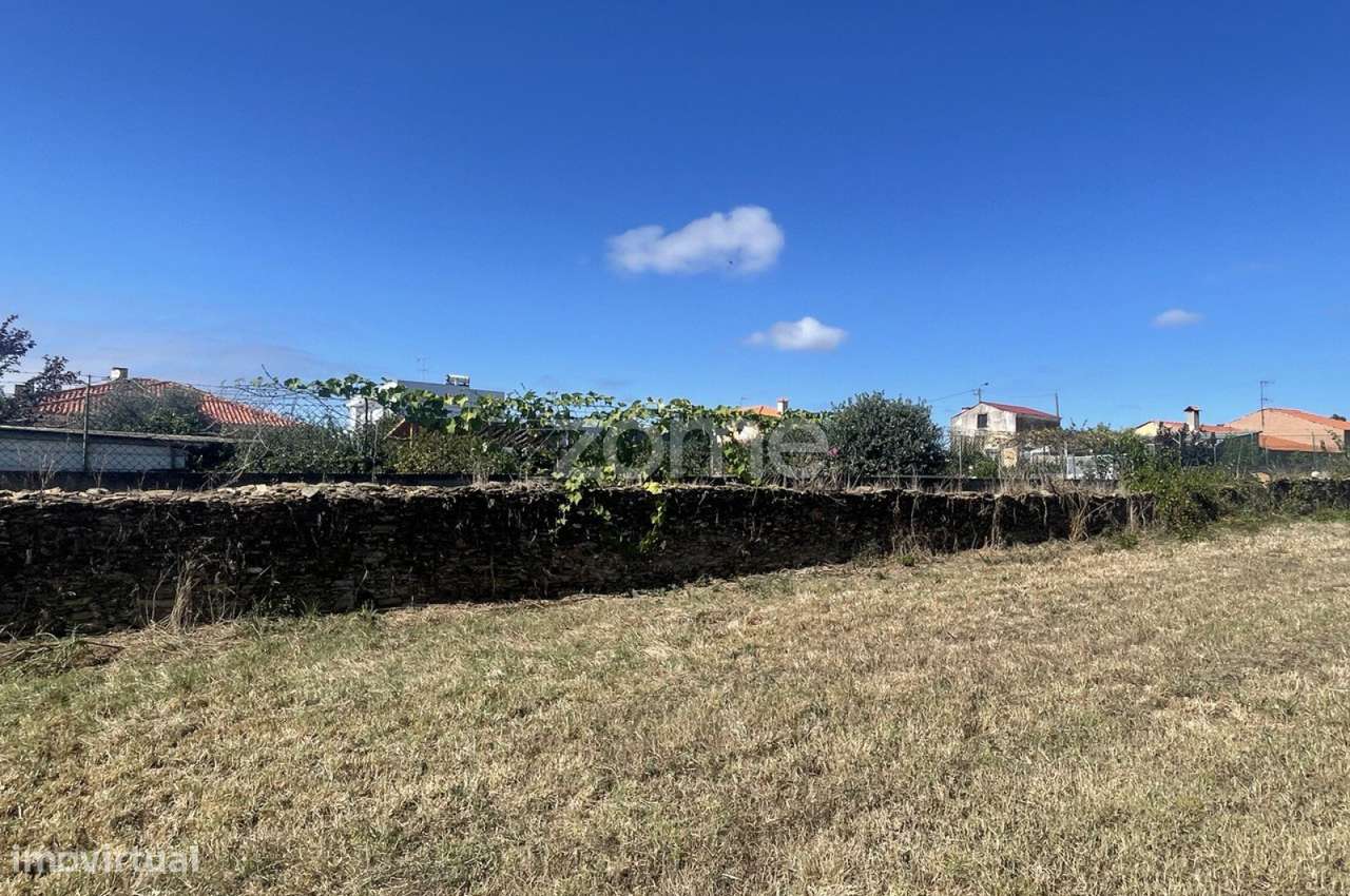 |Terreno| Cultivo | Válega| - Grande imagem: 5/15