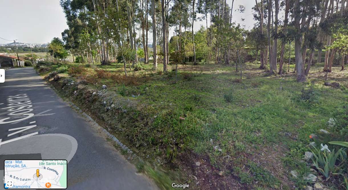 6 Terrenos 5.760m2, 6 casas térreas. Avintes, ao Zoo Stº Inácio - Grande imagem: 3/13