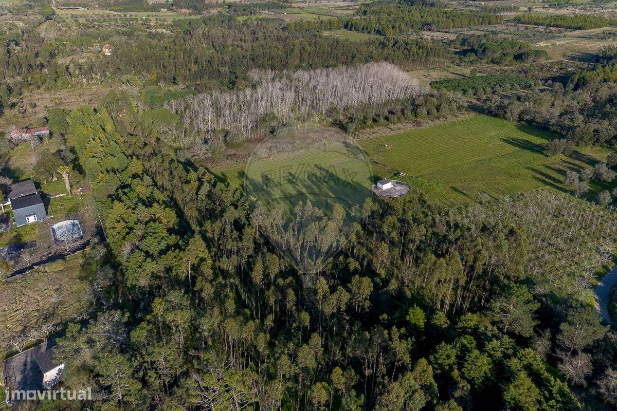 Terreno  para venda - Grande imagem: 4/15