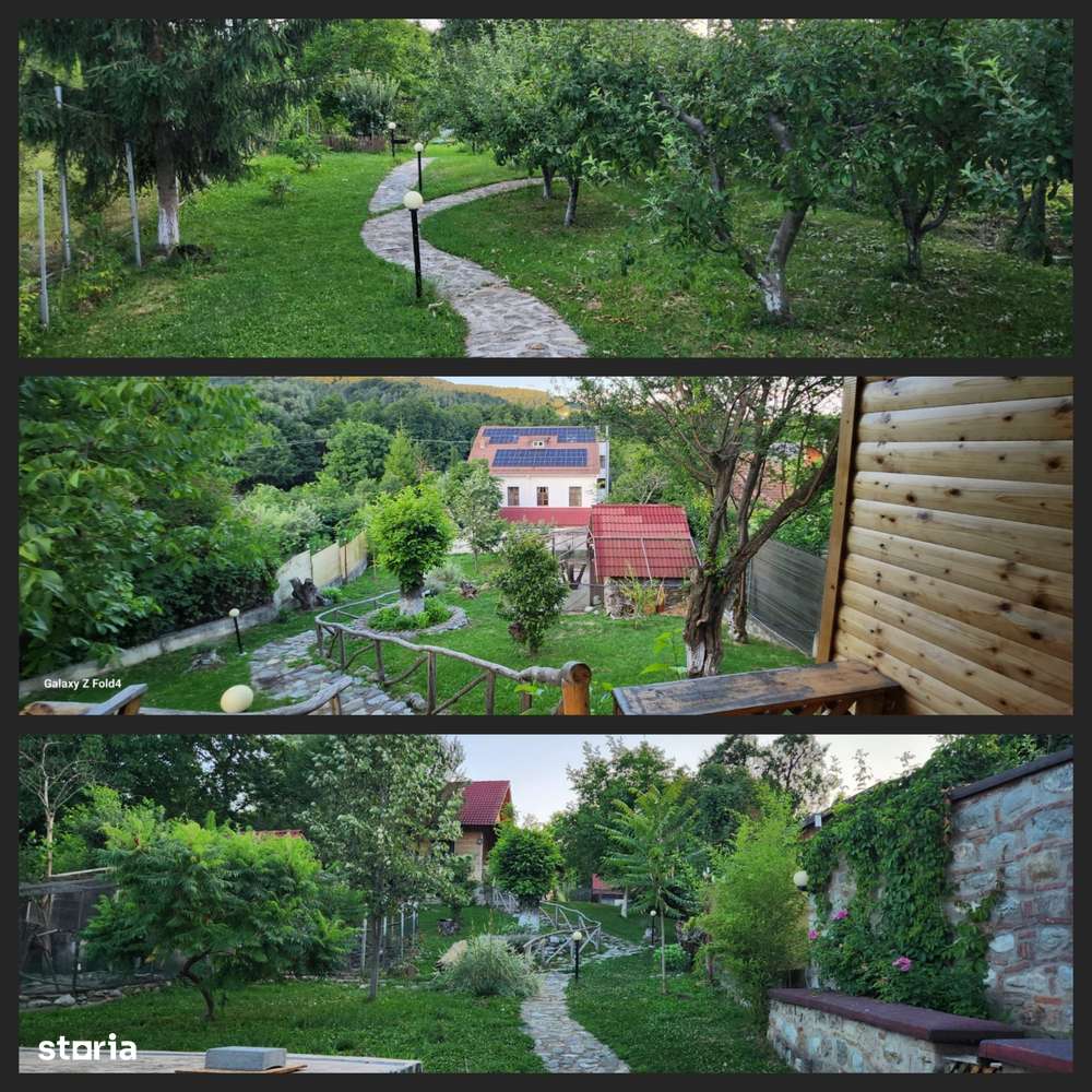 Vila Horezu Romanii de Jos-17