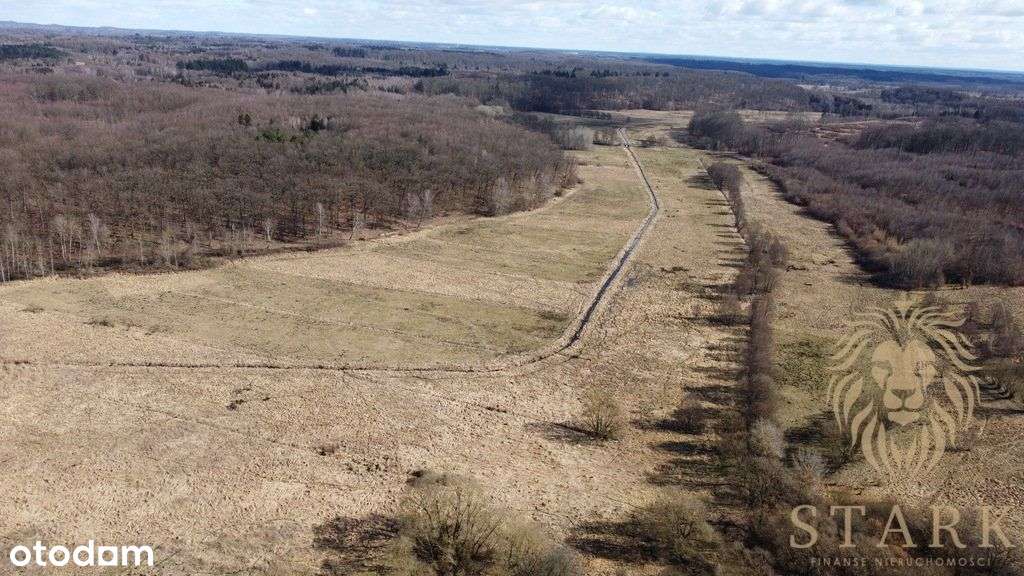 Działka rolna przy lesie, Kozy gm. Dobrzany - Pełny obrazek: 4/5