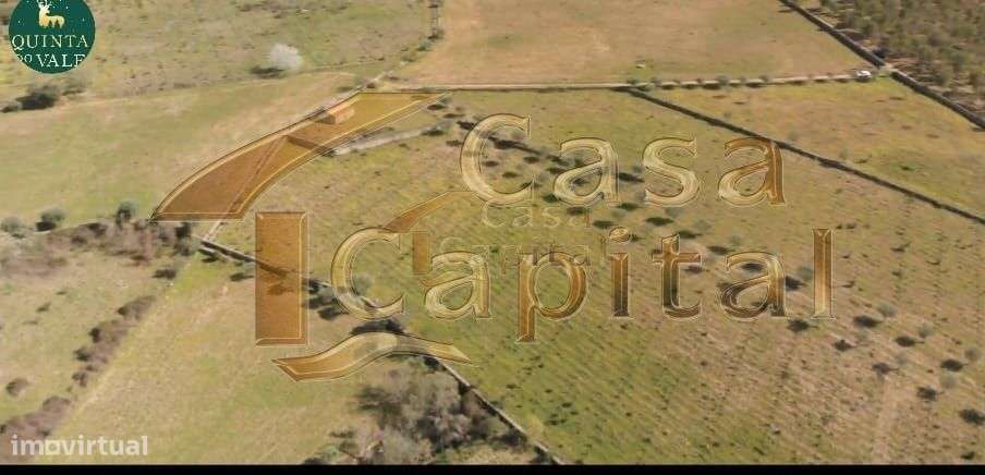 Quinta localizada na região nobre do Rio Douro Superior em Foz Côa - Grande imagem: 5/24