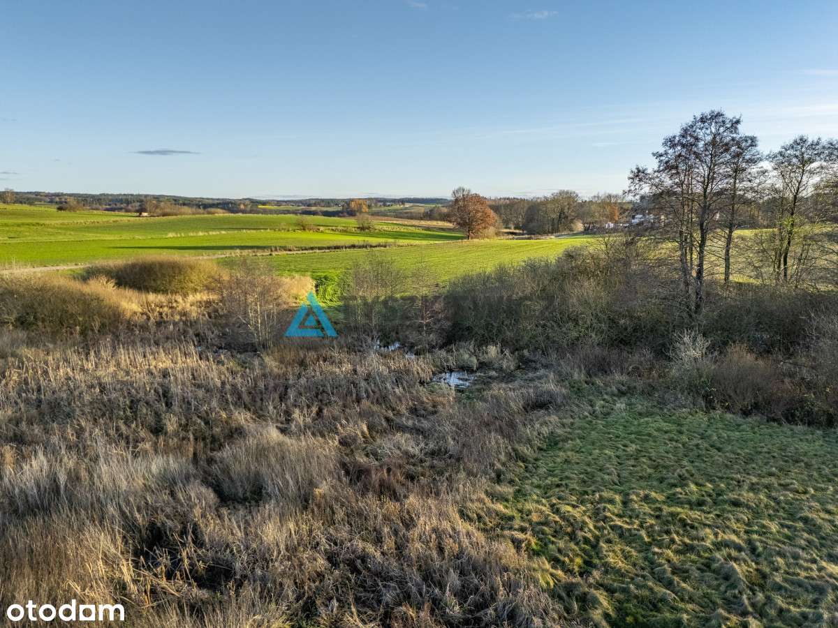 Działka na sprzedaż blisko jeziora Grabowskiego - Pełny obrazek: 3/20