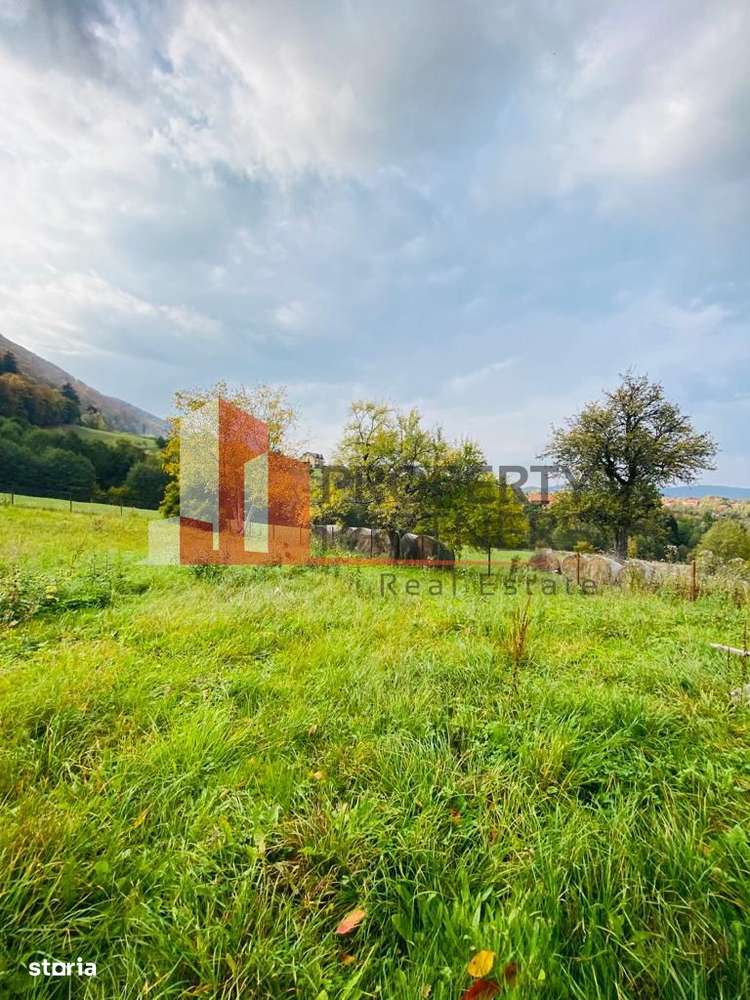 Casa + teren 1700 mp langa Padure Bran/ Predelut - Imagine principală: 4/20