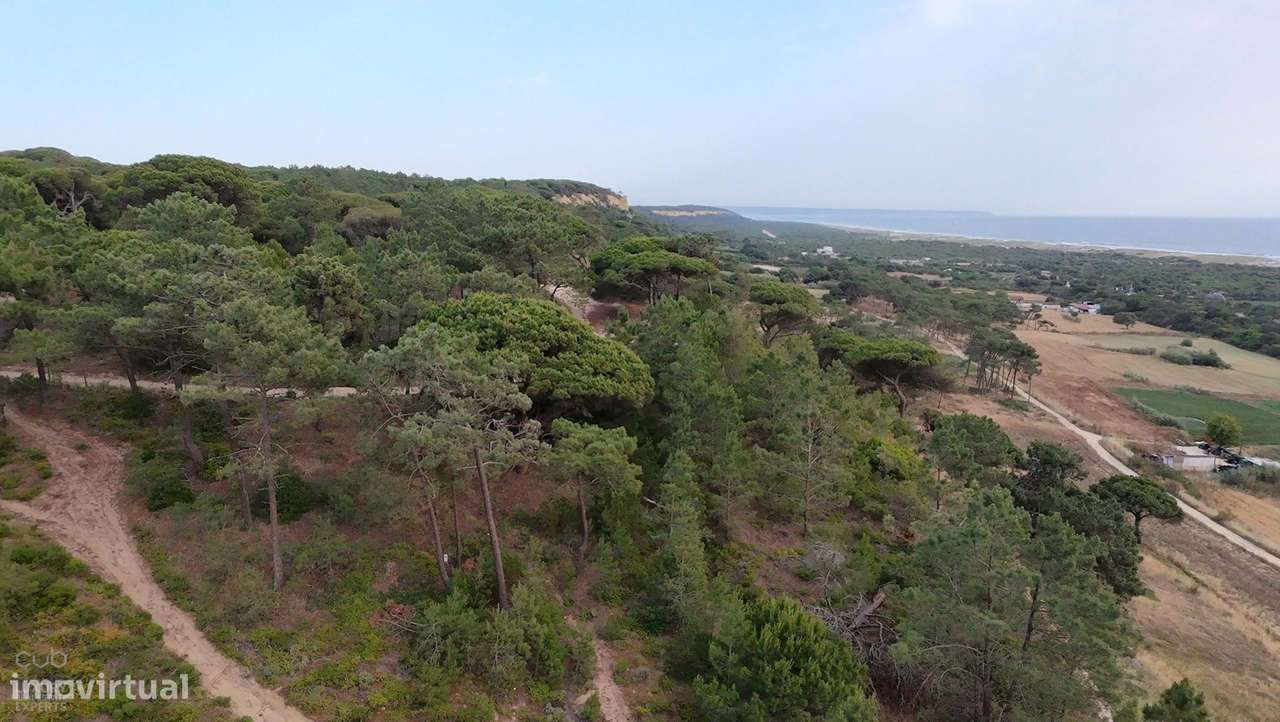 Terreno Rústico com Vista Mar e Potencial Ecológico-20